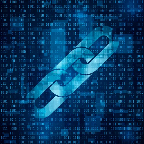 digital platform development services