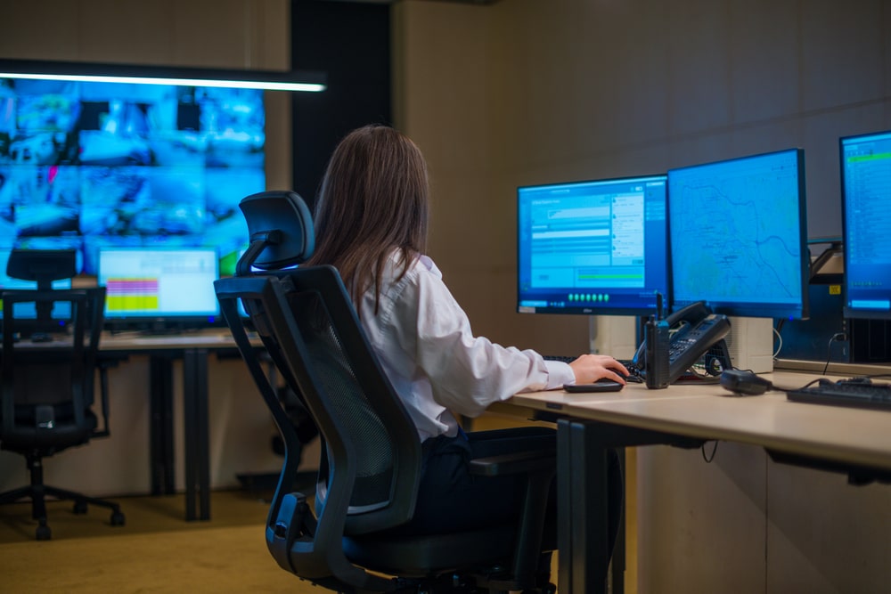 it consultant hourly rate