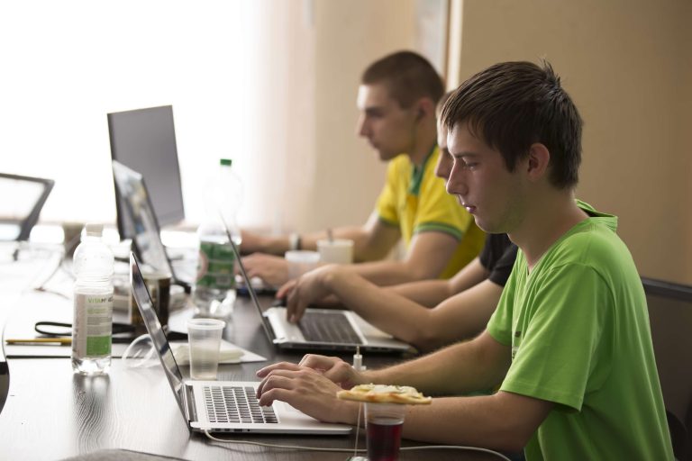 what is ui/ux developer do