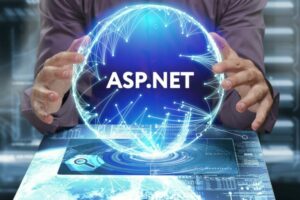 asp net software development