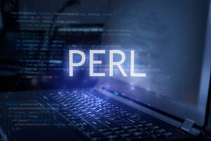 Main Aspects of Hiring a Perl Developer for Your Project
