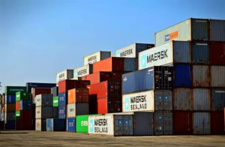 Logistics software solutions: All about development, features, and costs