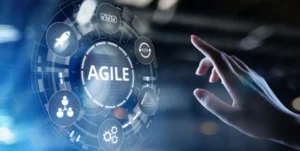 Basic features of agile development methodologies