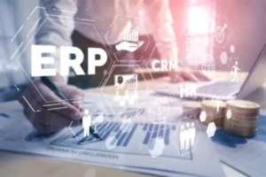 ERP Development: Create and develop your own system