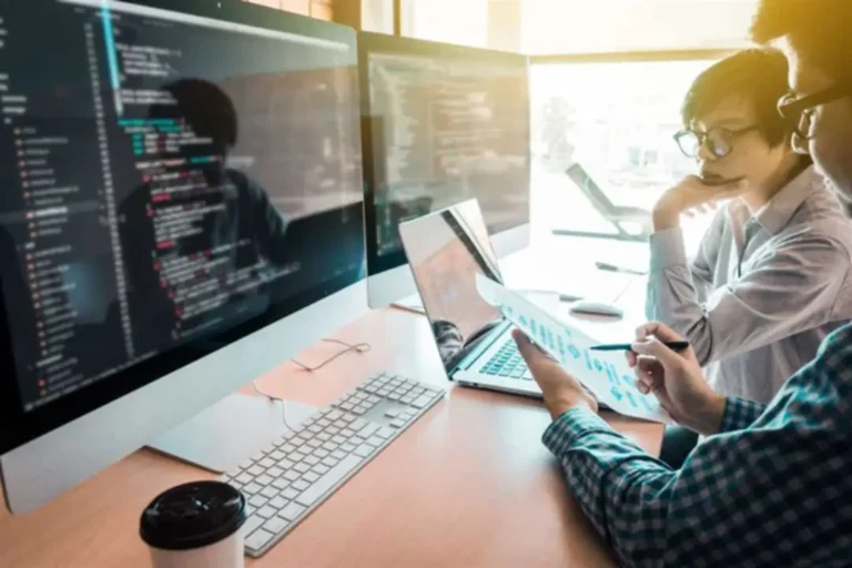 Custom Software Development: responsibilities, tasks, processes, and more