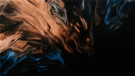 Databases & API Integration