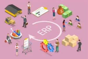 How to build your own ERP: 5 steps to success